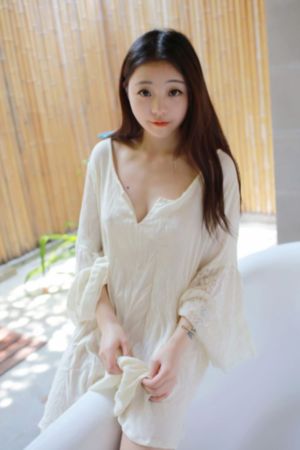忠者无敌电视剧免费播放全集