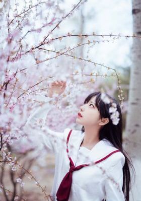 鹊刀门传奇免费观看